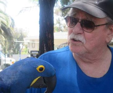 Resident with tropical bird