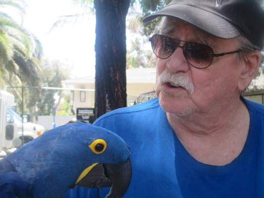 Resident with tropical bird