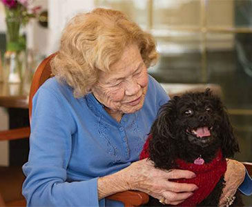 Elderly woman petting dog